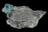 Blue-Green Fluorite Crystal on Druzy Quartz - China #146953-2